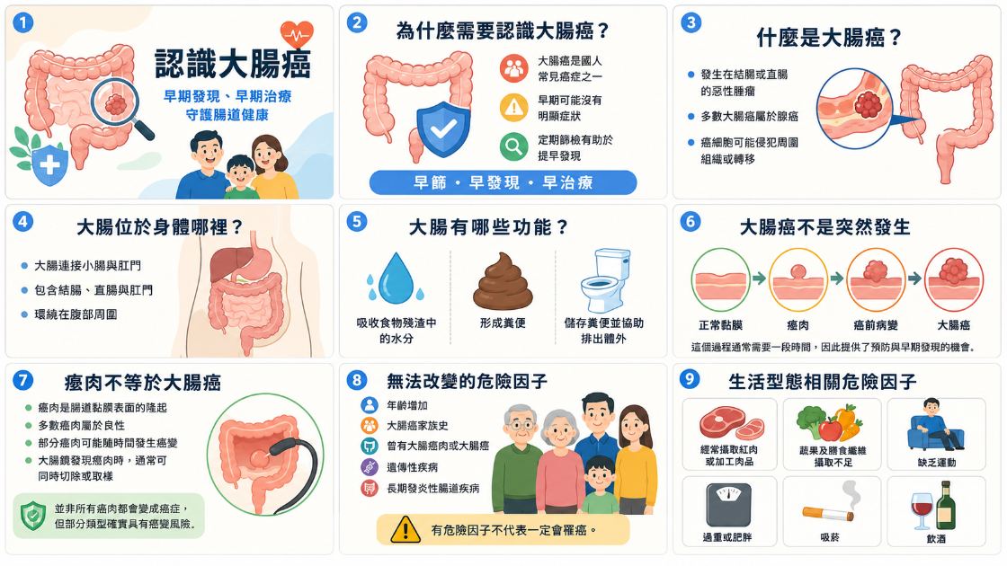 明亮暖色風格預覽